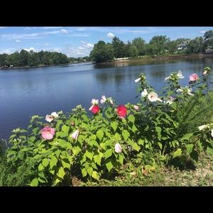 Meet your Posher, Angie